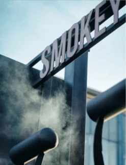 Smokey Goodness - Het Ultieme BBQ Boek -Big Green Egg schermafbeelding 2021 03 24 om 12.42.46