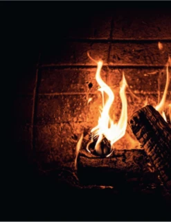 Smokey Goodness - Burgers & BBQ Bites 26 Smokey Goodness - Burgers & BBQ Bites -Big Green Egg schermafbeelding 2021 03 24 om 13.25.05