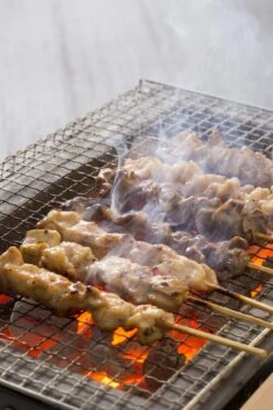 Oldenhof Konro Grill Diatomite Japanse Barbecue B-9 31 X 23 X 20 Cm -Big Green Egg shutterstock 556753543 2