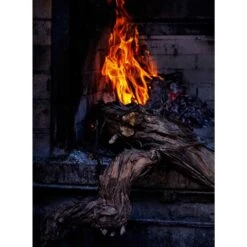 Smokey Goodness 2 : Het Next Level Barbecueboek -Big Green Egg sm3 2